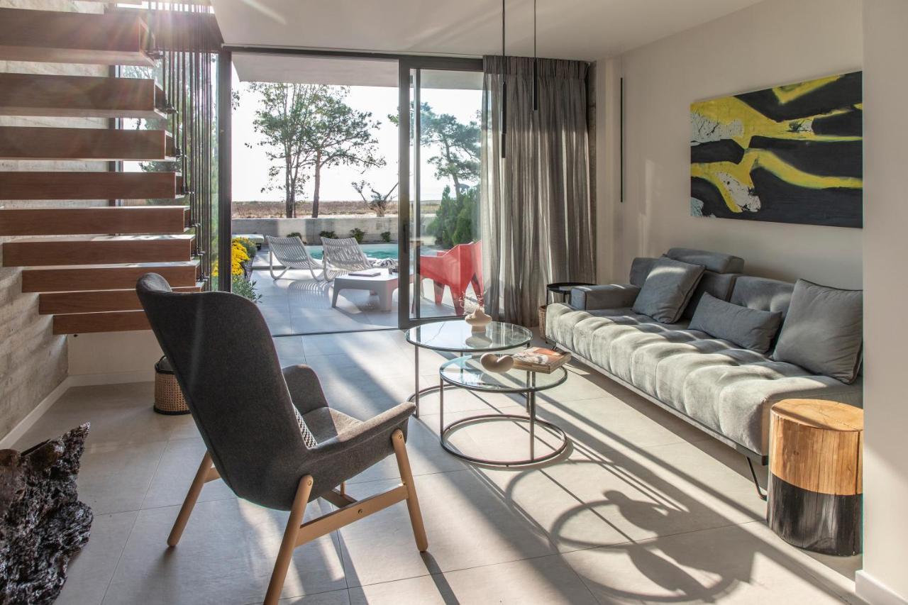 Ikies 3 Modern Eco-Friendly Private Seaview Signature Villas With A Pool Volos Exterior photo