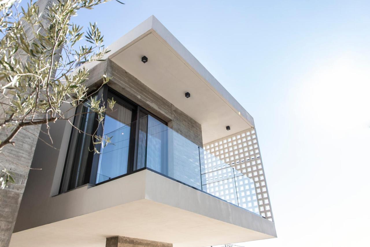 Ikies 3 Modern Eco-Friendly Private Seaview Signature Villas With A Pool Volos Exterior photo